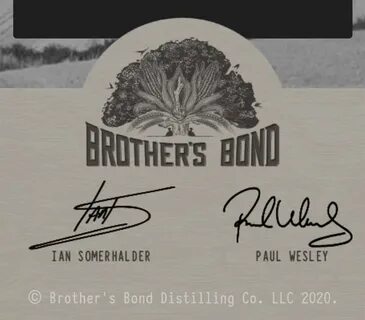 Dreamer s bond