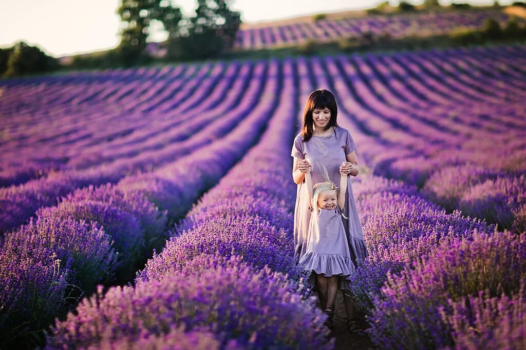 девушка в платье в лавандовом поле. девушка с лавандой в шляпе. фотосессия в лавандовом поле. темная двушка в лавпнде. фотосессия в лавандовом поле.
