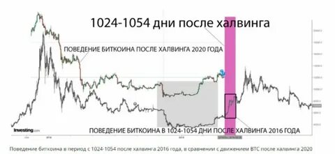 Что будет после халвинга