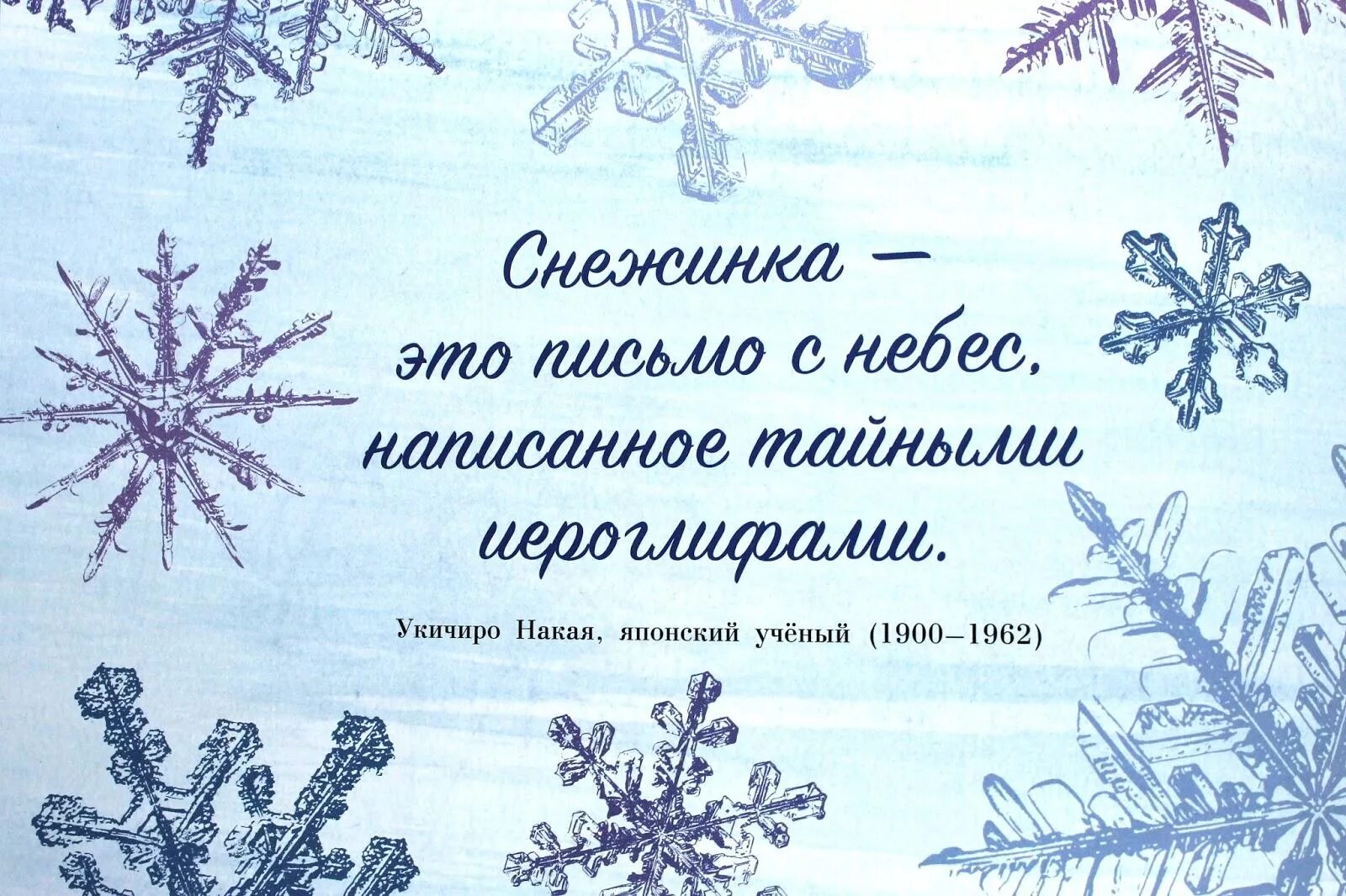 Цитаты про снег и зиму. Цитаты про зиму. красивые высказывания о зиме. зима цитаты красивые. красивые фразы про зиму.