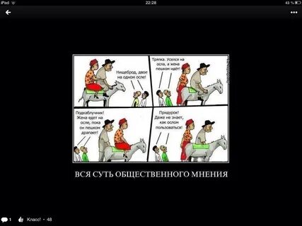 Суть общественного мнения
