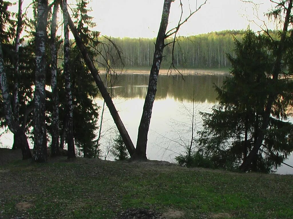 шлюз яхромское водохранилище. яхромское водохранилище купаться. река камышовка ленинградская область. свистуха яхромское водохранилище. курчатов песочная гора.
