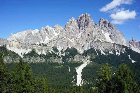 Monte parivision