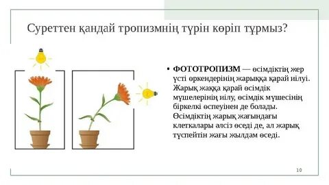 Фильмдегі секс көріністері