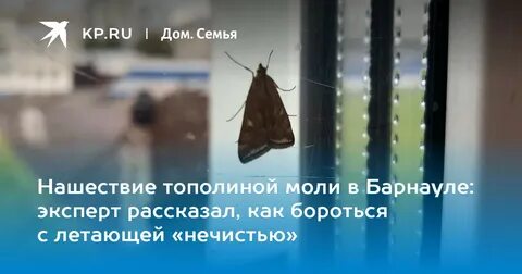 Моль екатеринбург