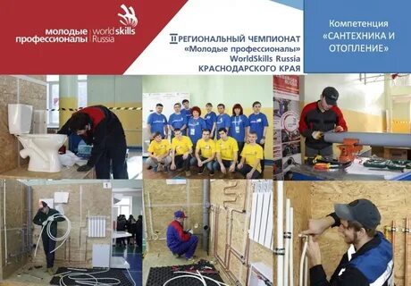 Проведение чемпионата профессионалы