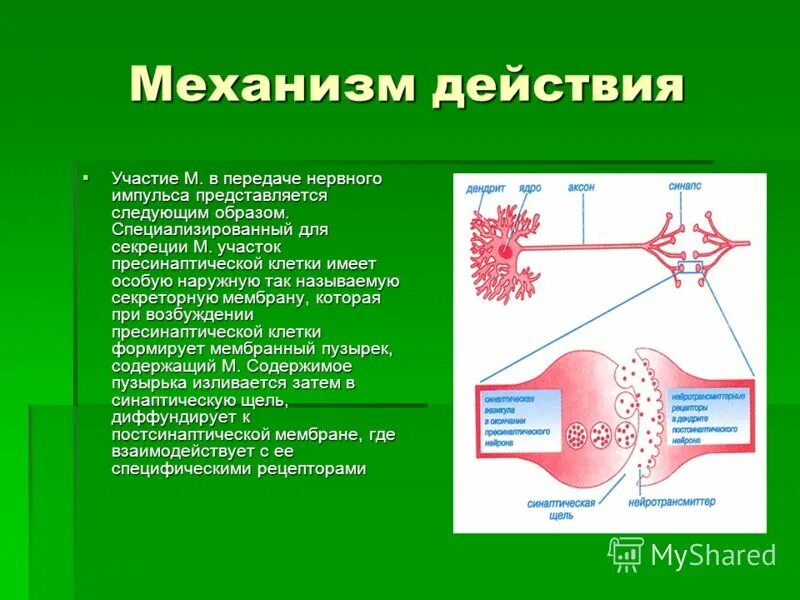 Передающая импульсы функция