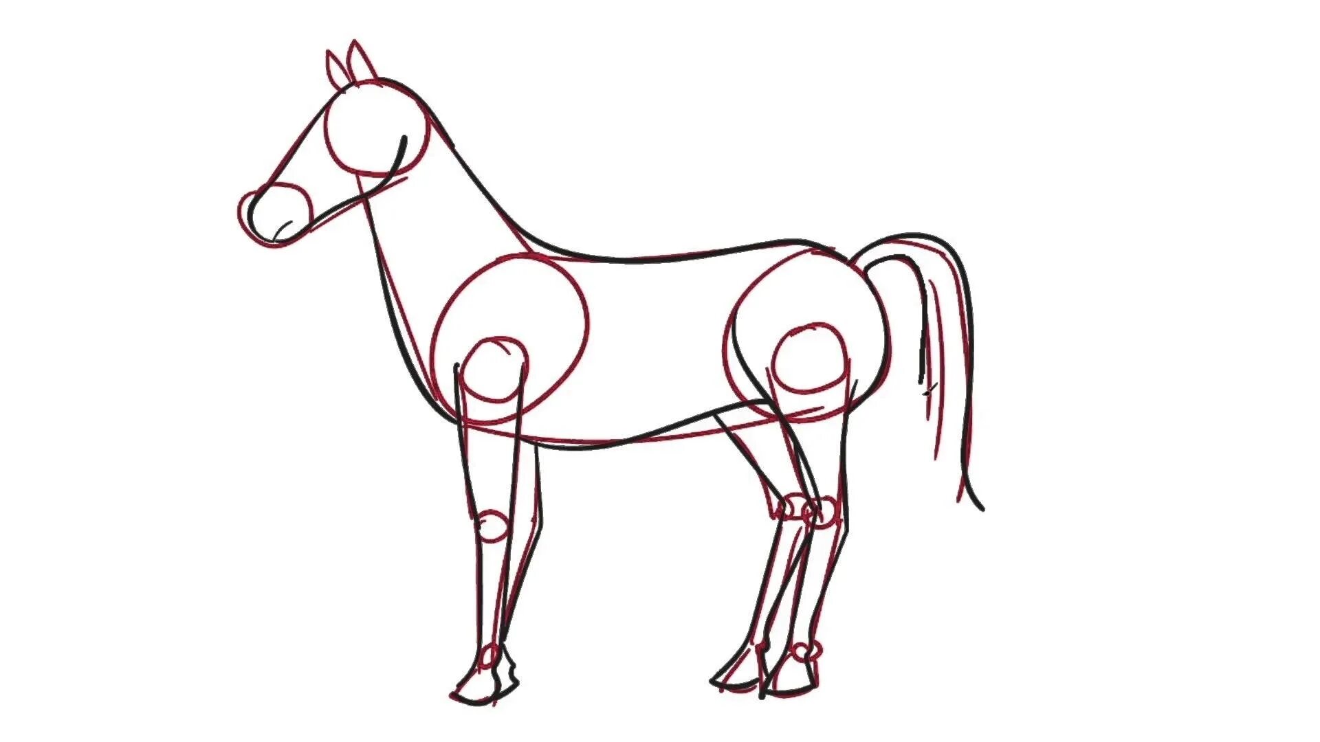 Лошадь карандашом. Лошадь рисунок карандашом. Рисунок коня карандашом для срисовки. Красивые рисунки несложные.