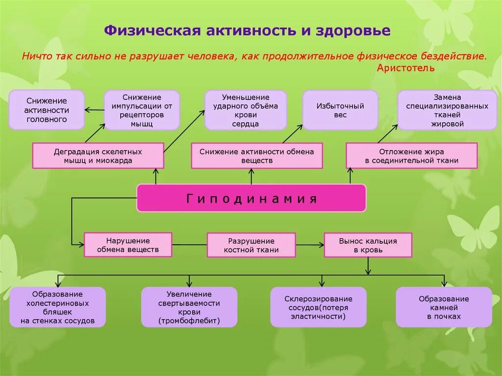 4 функции здоровья. Влияние физических упражнений на организм человека. Влияние физических нагрузок на организм человека. Воздействие физической культуры на организм человека. Влияние физической активности на организм человека.