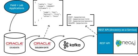 Sql neo
