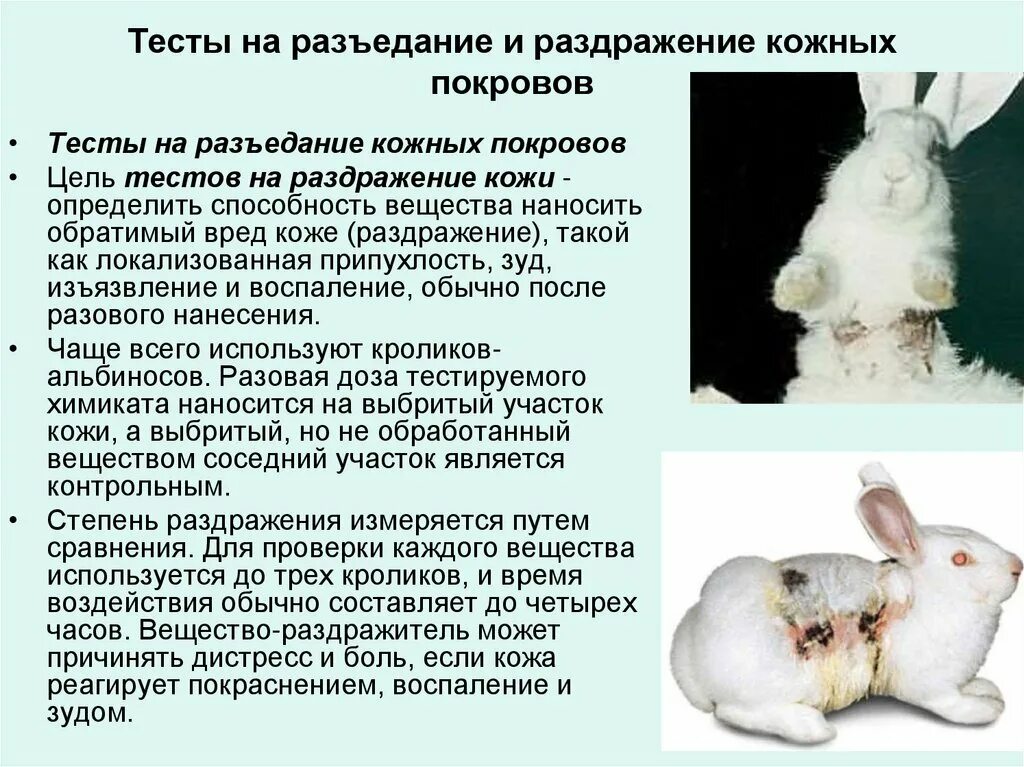 Эксперименты над животными. Методика опросник. Плакаты про тестирование по. Тест на пав. Тест на раздражение.