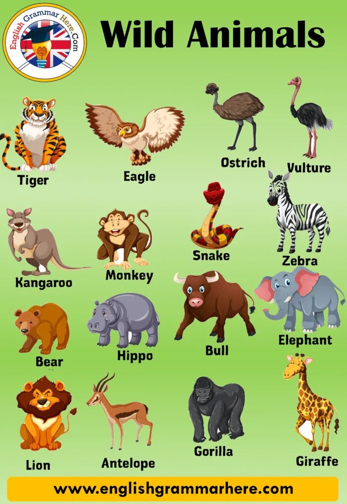 Wild animals тема