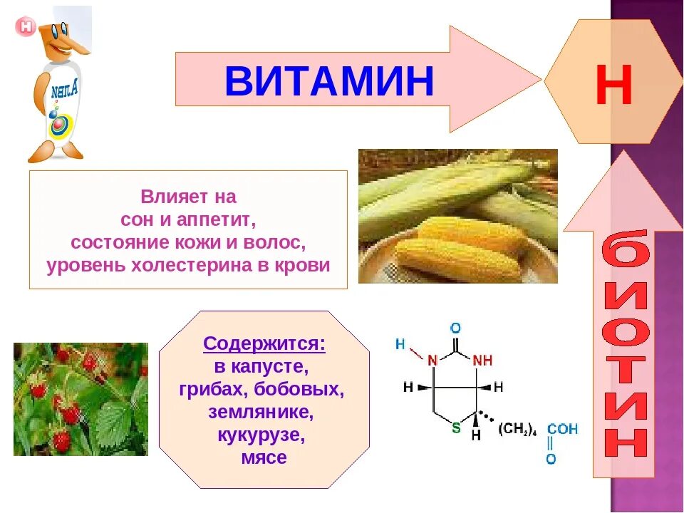 Витамины биология. Витамины по биологии. Витамины 8 класс. Сообщение о витаминах. Витамин в 1 функции