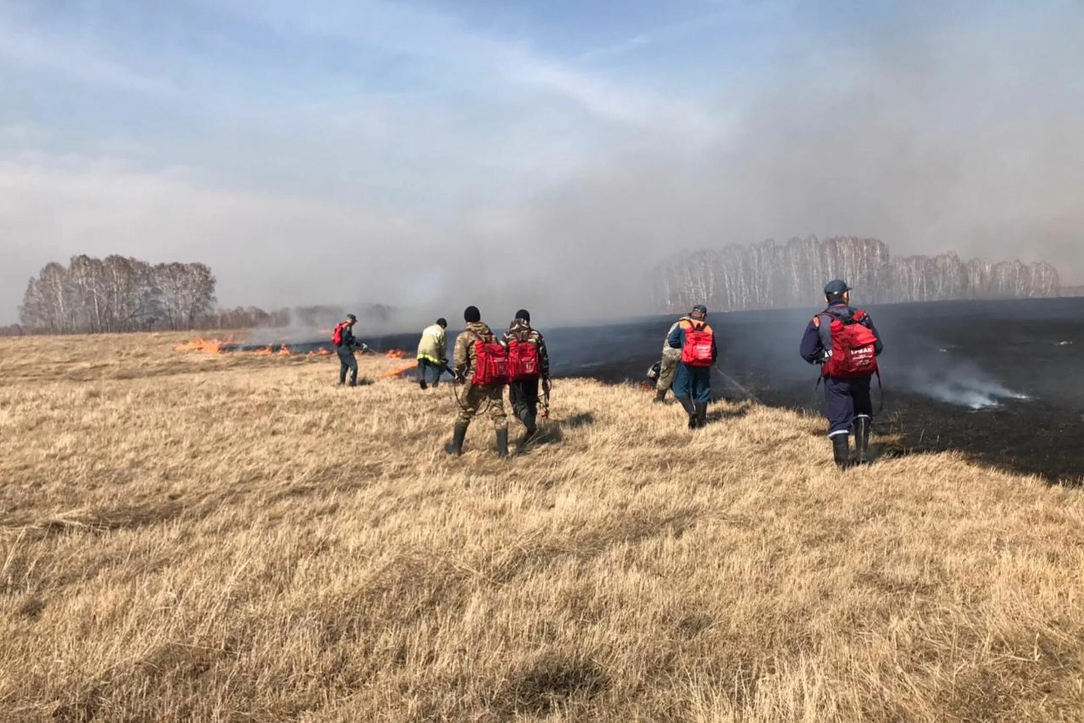 Пожары в Новосибирской области 2022. Лесные пожары в Сибири 2019. Массовый пожар. Лесные пожары в Сибири 2022.