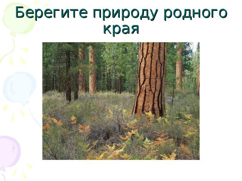 Презентация проекта "Разнообразие природы родного края" 3 класс в быту
