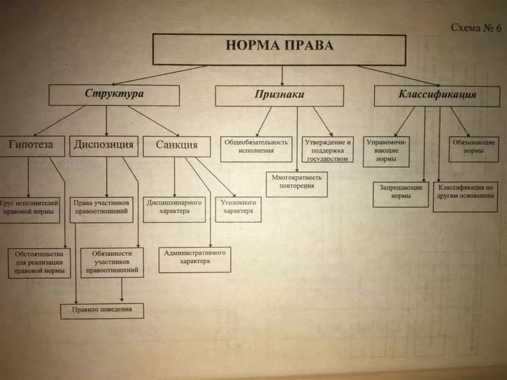 Многообразие норм. Виды правовых норм схема. Классификация правовых норм схема.