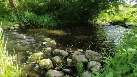 Внизу шумела речка