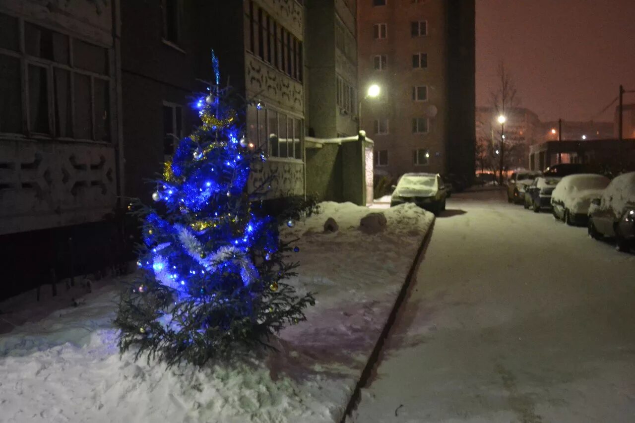 Елка на улице. Украшенная елка на улице. Наряженная елка во дворе. Украшенная елка во двороре. Наряженная елка во дворе.