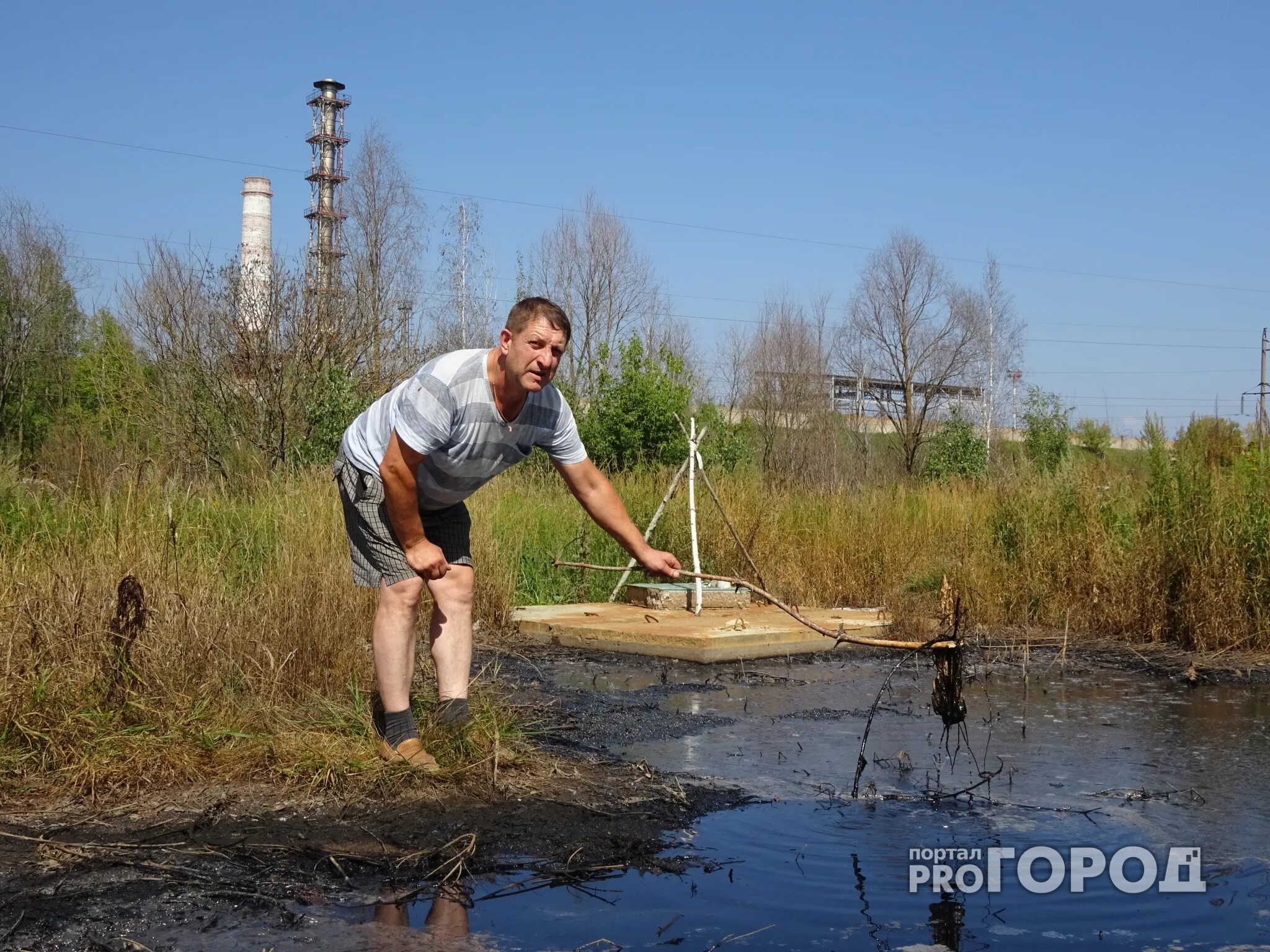 Болото воняет. Вонючее болото. Смрадное болото. Черное болото. Канализация на болоте.