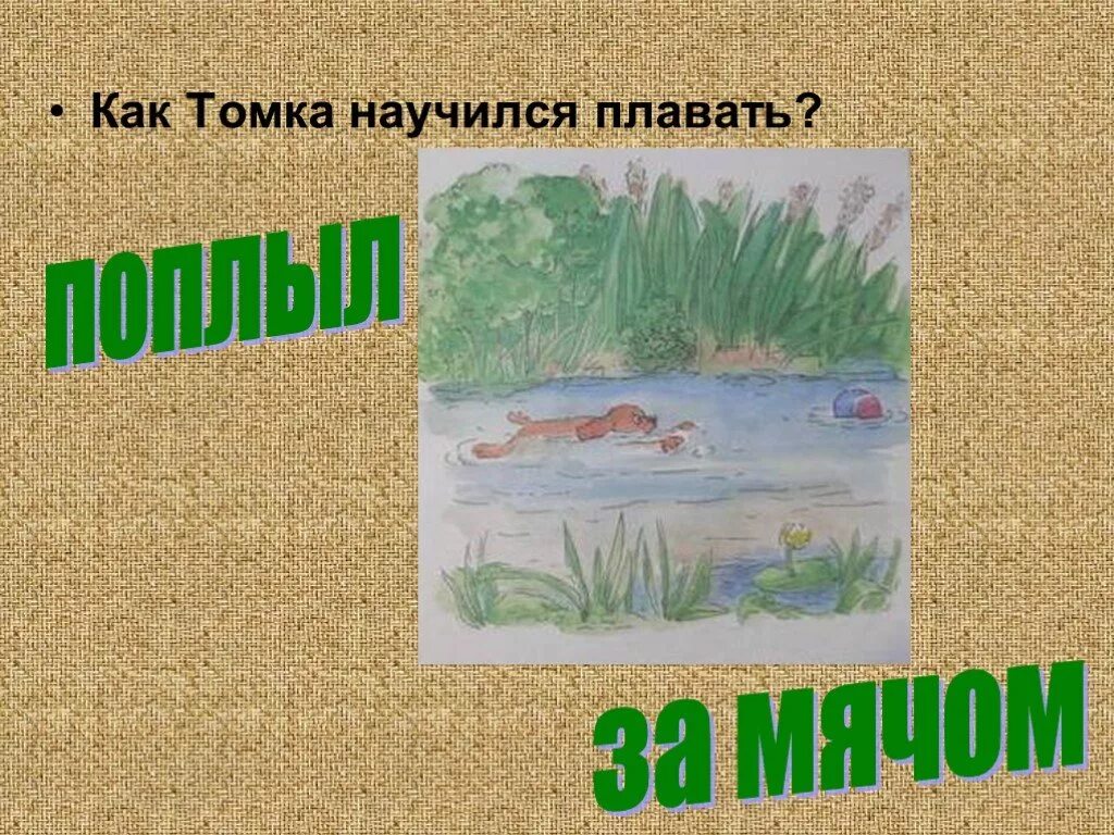 Как томка научился. Как томка научился плавать. рассказ как томка научился плавать. иллюстрации к рассказу как томка научился плавать. как томка научился плавать картинки.