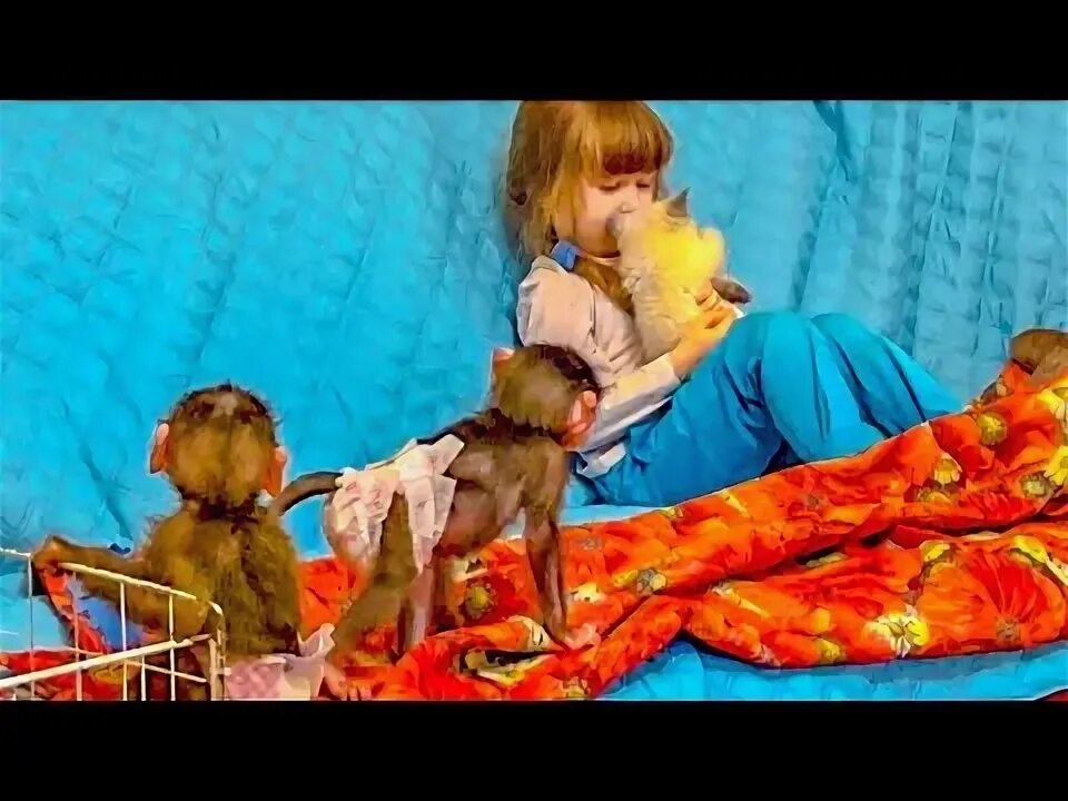 Тося маня степашка люся