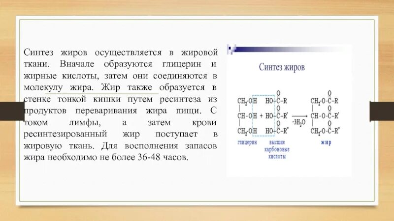 Синтез жиров в печени и жировой ткани. Реакции синтеза нейтрального жира. С нтез жиров в жировой ткани. Биосинтез нейтрального жира в печени и жировой ткани. Место синтеза жиров