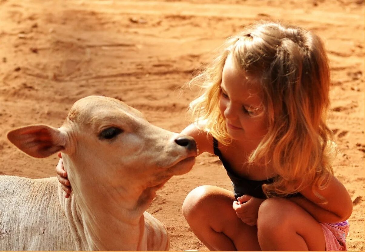 Вить жизнь. Вить жизнь. Вить жизнь. Образ жизни с латинского. Бочкова не дам себя в обиду.