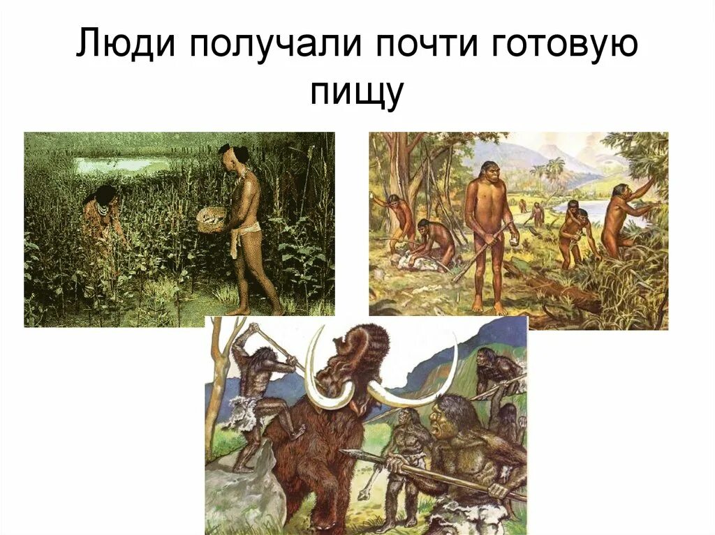 Как происходило освоение земли человеком. Освоение земли человеком. заселение земли человеком. как люди заселяли землю. заселение земли человеком презентация.