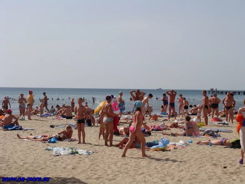 Пляж витязево в анапе. Анапа центральный пляж анапа. Анапа центральный пляж снять жилье. Центр поселка витязево. Пляжи анапы в июле отзывы.