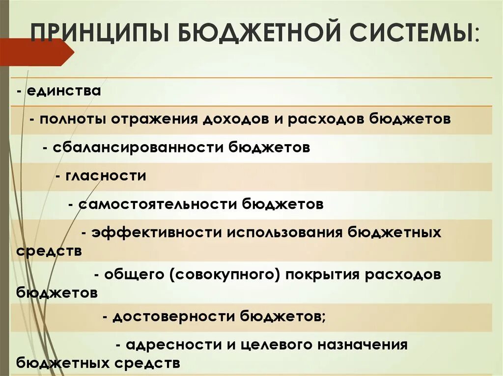 Принципами бюджетной системы являются. Принципы бюджетной системы. Принципы бюджетной системы схема. Принципы бюджет системы. Принципы бюджета.