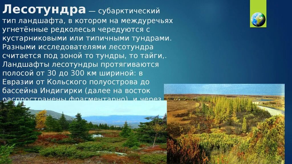 Для зоны тундр россии характерны. Рельеф природной зоны тундра. Тундра лесотундра тундрово-глеевые. Зоны тундра Тайга. Тундра и лесотундра презентация.