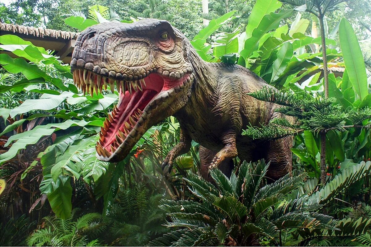 Когда жили динозавры видео. Парк Юрского периода. Динозавры. Динозавры Юрского периода. Динозавры из Юрского периода.