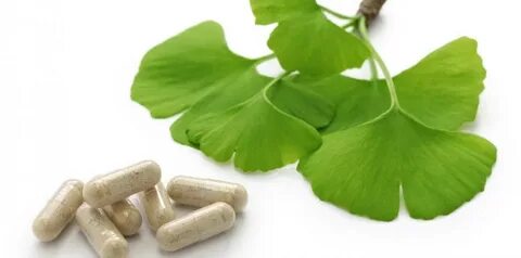 Таблетки ginkgo biloba