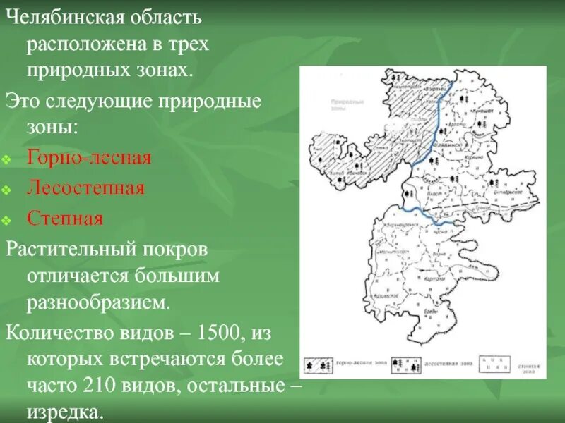 В какой природной зоне находится челябинская. Природные зоны Челябинской области карта. Карта природных зон Челябинской области 4 класс. 3 Природные зоны Челябинской области. Карта растительности Челябинской области.