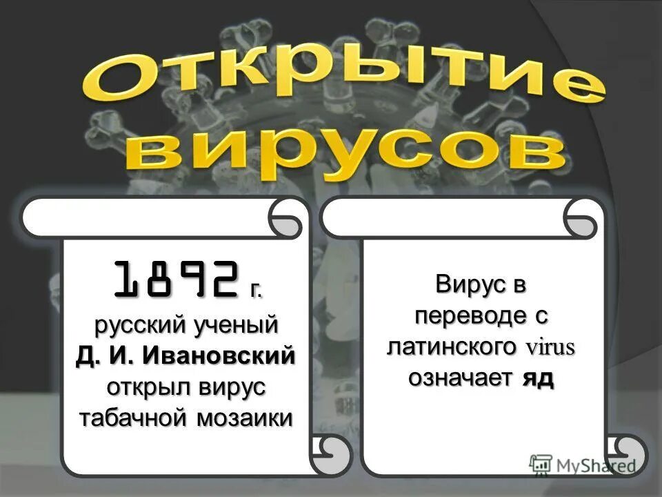 Слово мозаика с латинского означает. Вирус с латинского. Вирус в переводе с латинского означает. Вирус на латинском языке. Вирусы латынь.