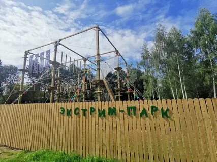 Сестрорецком парке клина