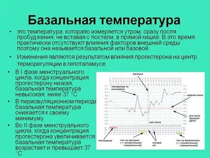 Когда поднимается температура при беременности