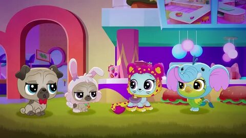 Бесплатный pet shop