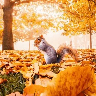 Осенью мы лучше видим