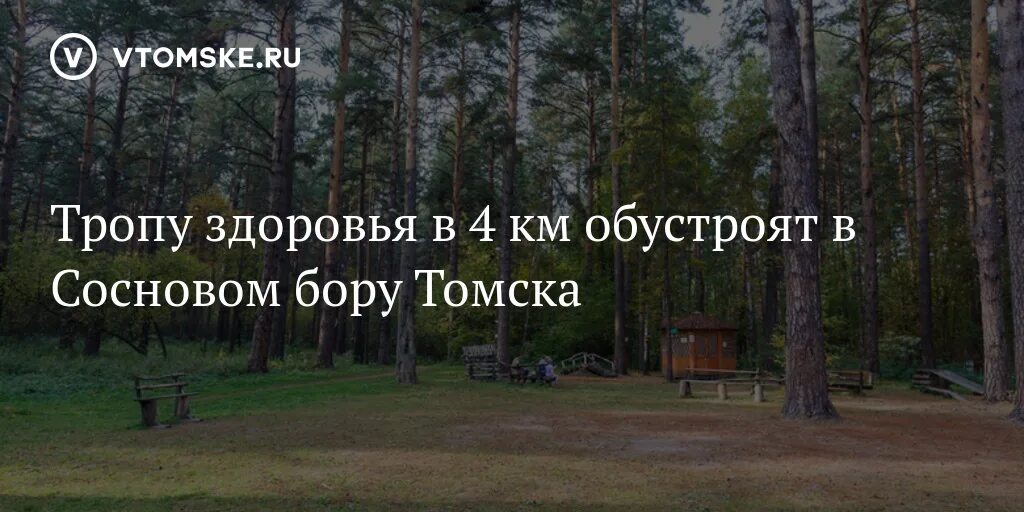 Бор томск. Сосновый бор томск. лыжная база сосновый бор томск. тропа здоровья березовский сосновый лес. здоровье сосновый бор.