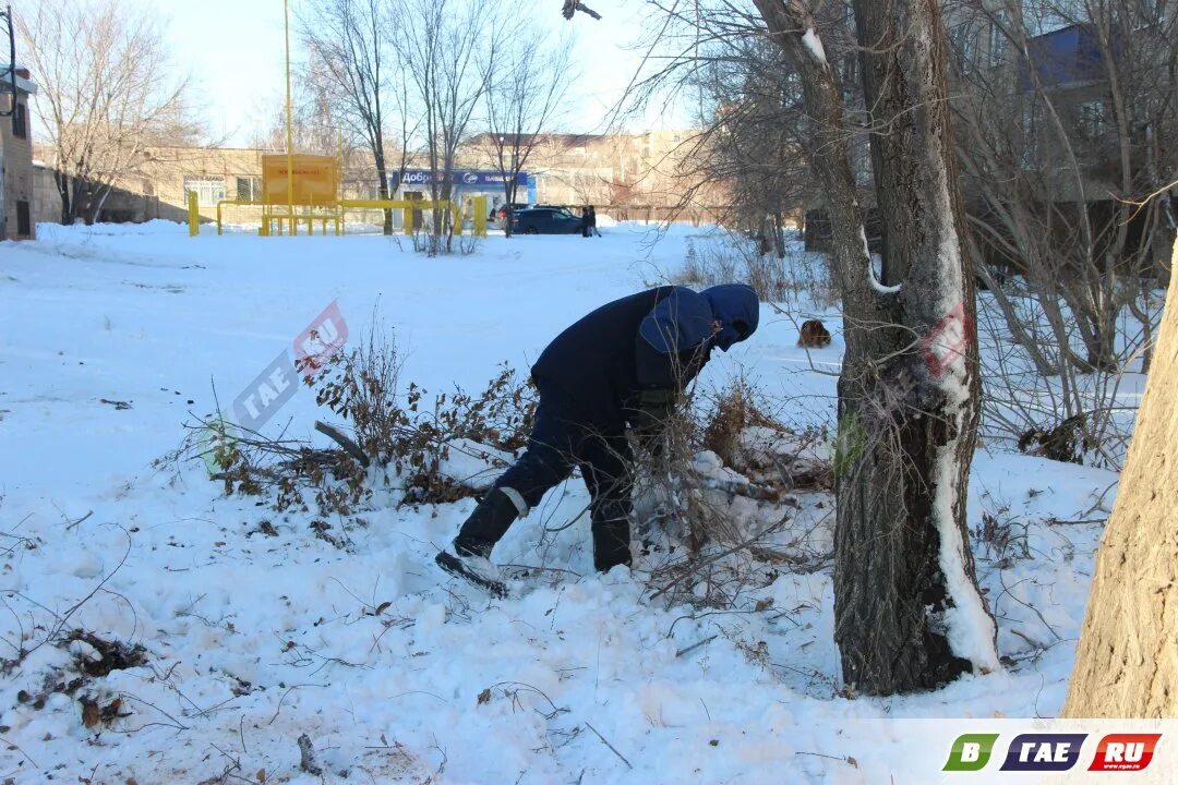 Огромная ветка упала на голову девушке. 07. Чп веткам. Чп веткам. Чп веткам.