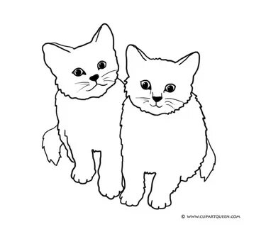 Раскраска 2 кота