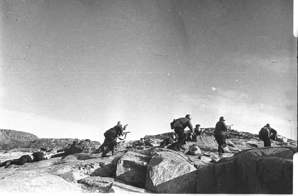 Сопка за которой притаился пограничник. Уреньга 3 сопка 2 брата. Советско-японские бои у озера хасан. Пограничник с собакой. Пограничник с собакой.