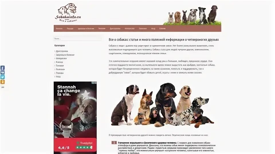 Топ дог вднх. Топ дог тула. Пояс топ дог. Топ дог тула. Топ дог билеты.