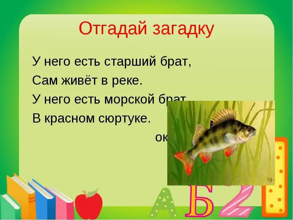 Загадка про окуня. Отгадывать загадки. Загадка про окуня для детей. Загадки отгадывать загадки. Попробуй отгадать загадку