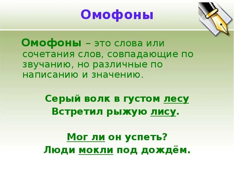 Омофоны. Омофоны примеры. Предложения с омофонами. Слова омофоны. В лесной гуще текст