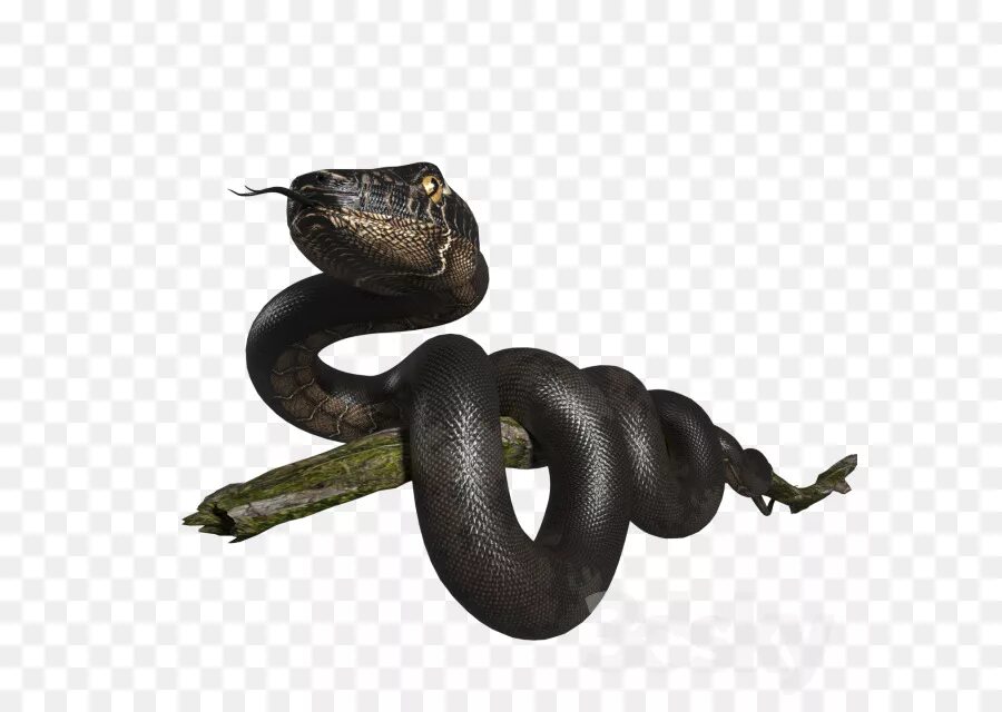 D snake. Модель змеи. Змея 3d. 3d модель змеи. Макет змеи.