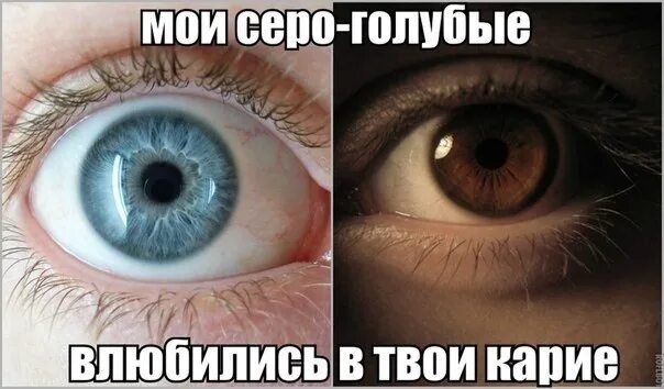 Я год сука любил твои глаза. В карие глаза влюбляются. Твои карие глаза. Мои карие глаза. Если влюбиться в карие глаза.