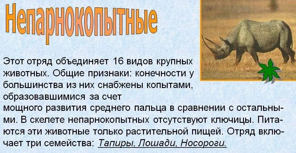 Отряды млекопитающих парнокопытные непарнокопытные таблица. Отряды млекопитающих непарнокопытные. Сообщение непарнокопытные 7 класс биология. Краткая характеристика непарнокопытных. Парнокопытные и непарнокопытные таблица.