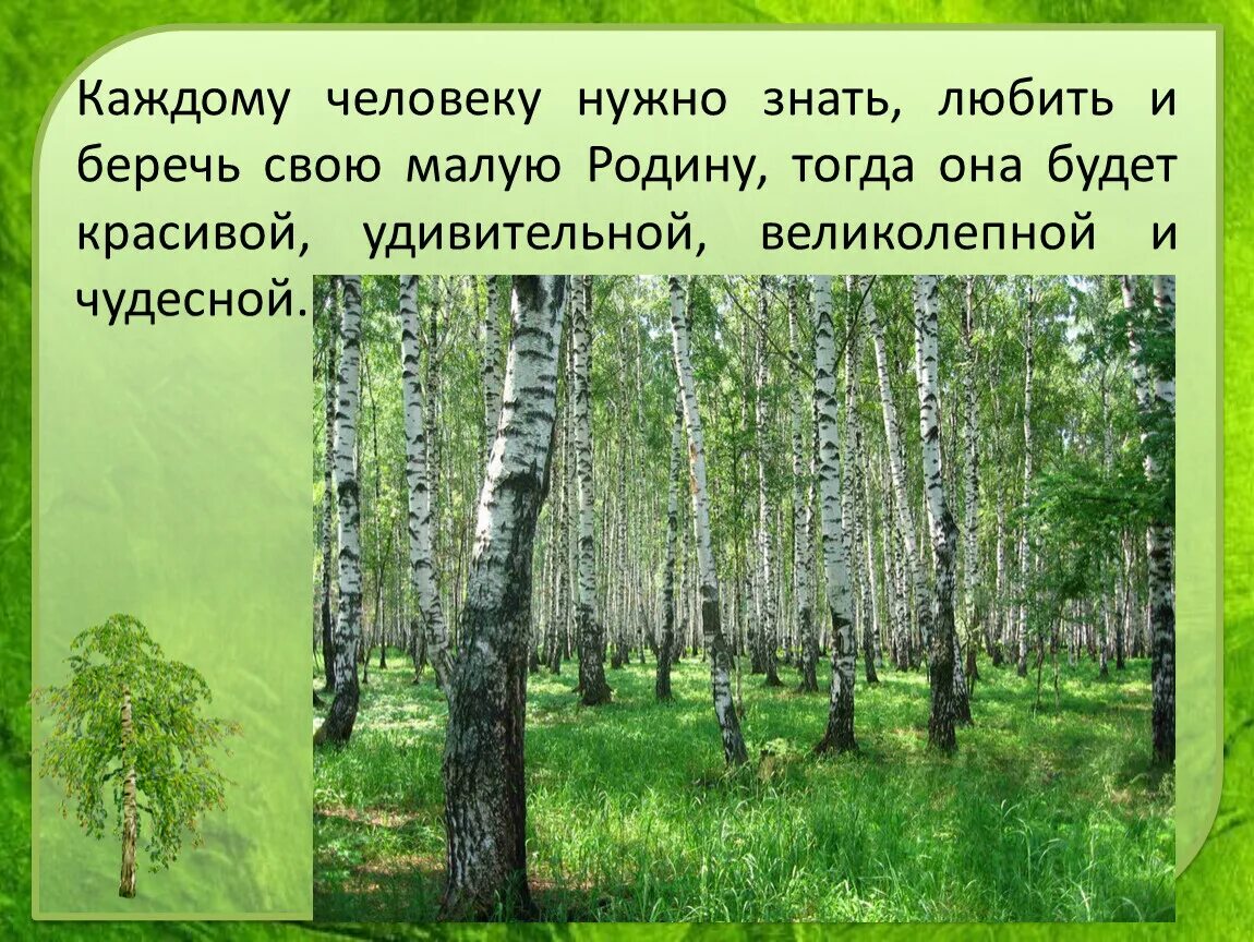 Люблю свою малую родину. Почему надо любить свою родину.